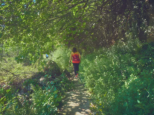 Ruta de la Cascada del Arroyo en Letur