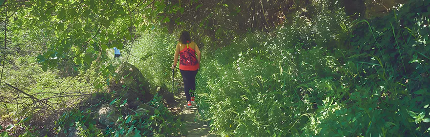 Ruta de la Cascada del Arroyo en Letur