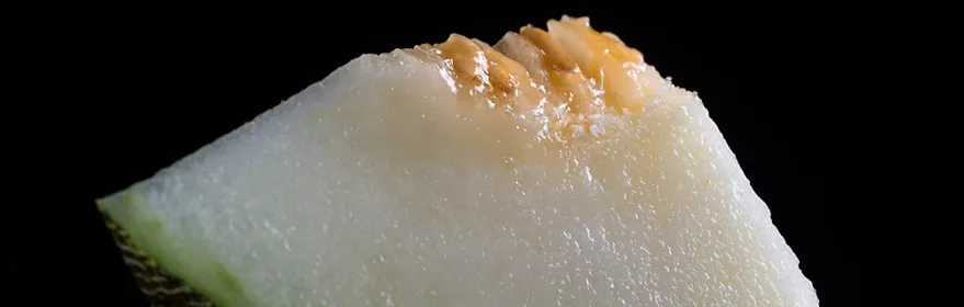 Ruta del Melón de Castilla La Mancha