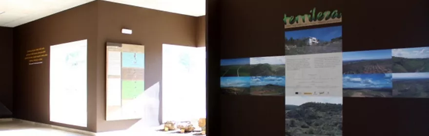 Terrileza en Terrinches