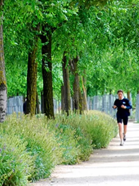 Running en la Vía Verde de Poblete