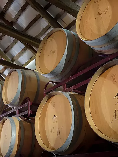 Barricas d la DOP Vino de Pago Los Cerrillos