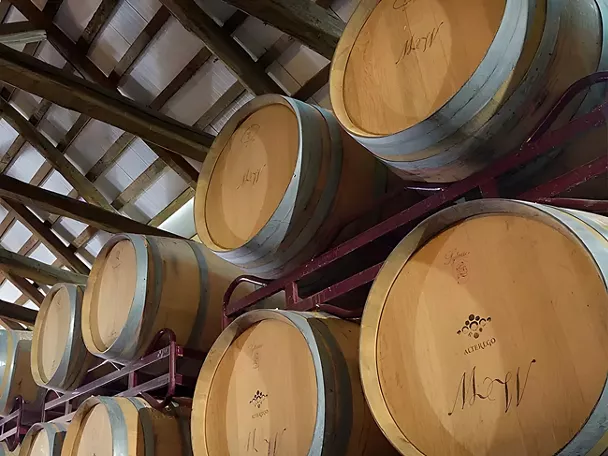 Barricas d la DOP Vino de Pago Los Cerrillos