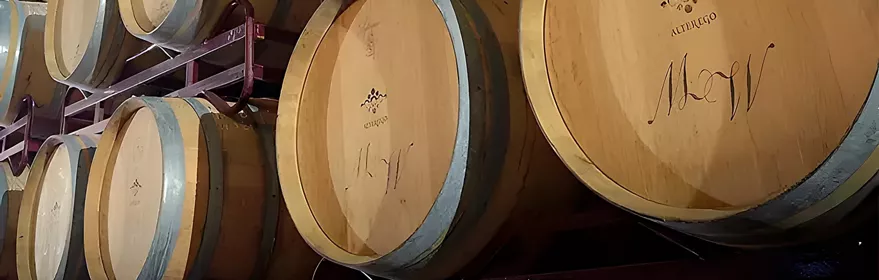 Barricas d la DOP Vino de Pago Los Cerrillos