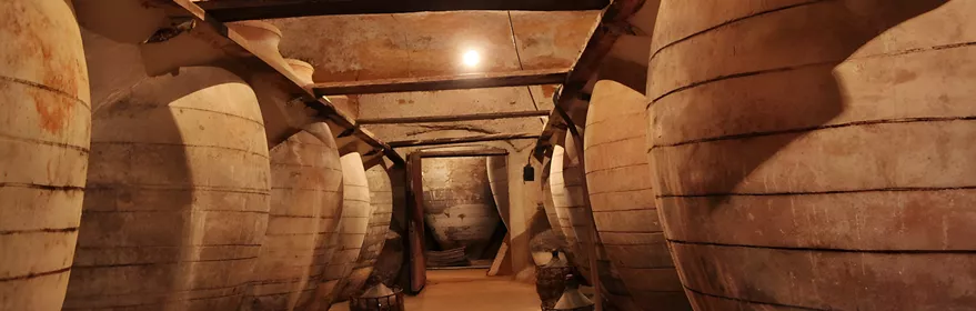 Cuevas de Tomelloso en Ciudad Real