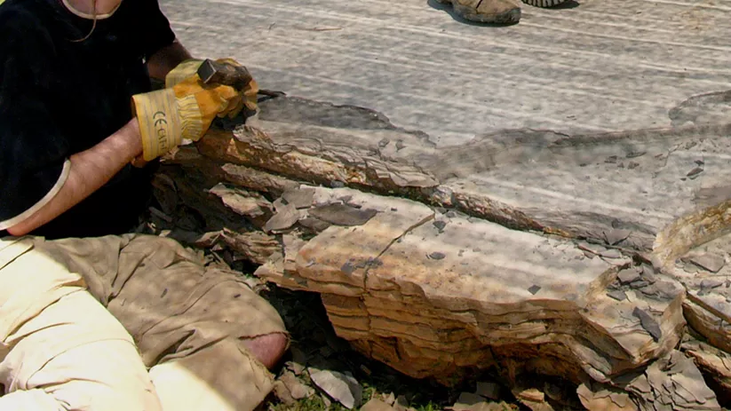 Trabajo de campo en el yacimiento de Las Hoyas