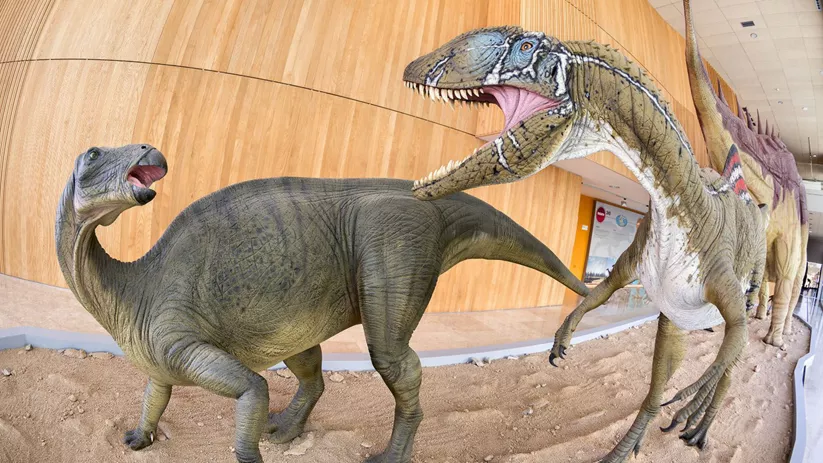 Exposición de dinosaurios en el Museo Paleontológico de Cuenca
