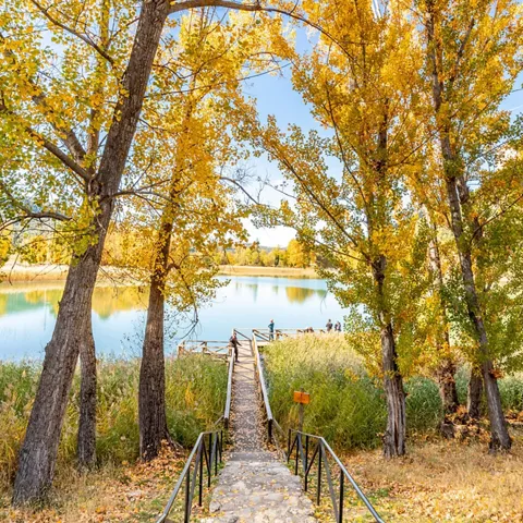 Sendero hacia la laguna de Uña