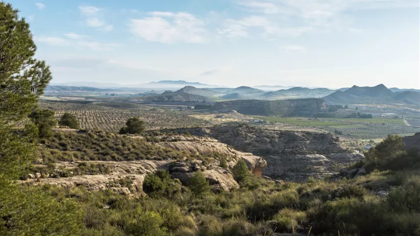 Vista panorámica de valle y colinas desde una zona alta con vegetación baja.