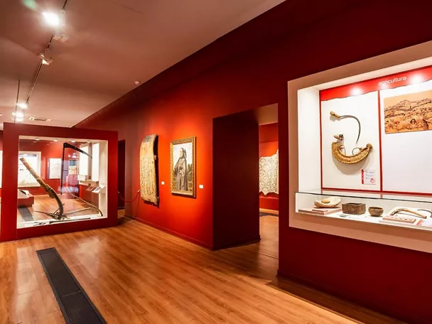 Sala de museo con vitrinas