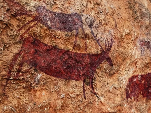 Pinturas rupestres con figuras de ciervos en tonos rojos sobre roca.