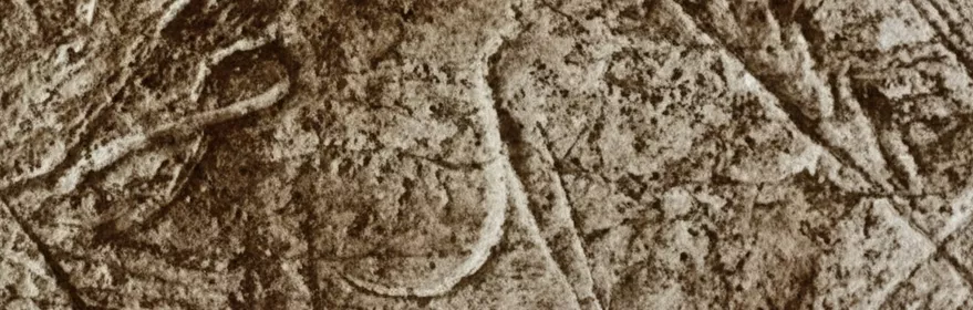 Primer plano de grabado rupestre que representa la cabeza de un animal.