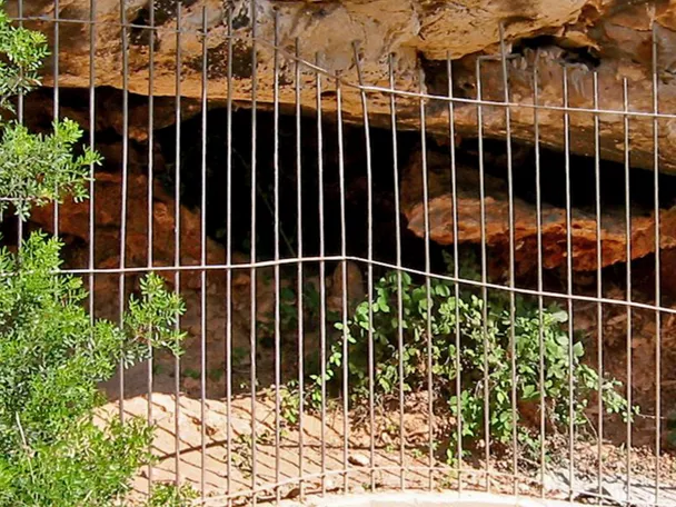 Reja metálica protegiendo una cavidad rocosa con vegetación alrededor.