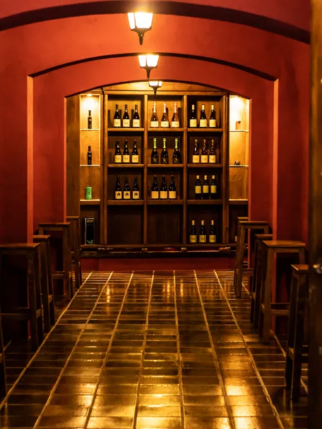 Enogastronomía Castilla-La Mancha