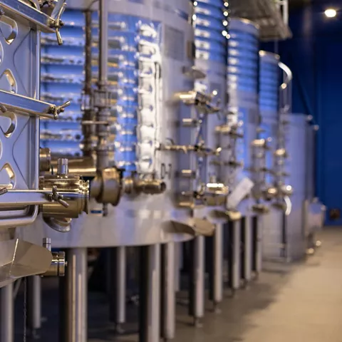 Enogastronomía Castilla-La Mancha