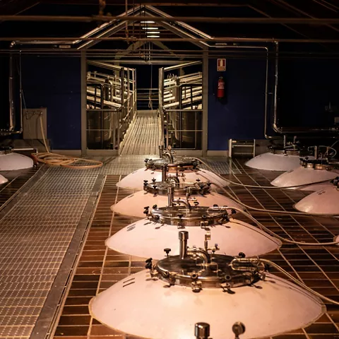 Enogastronomía Castilla-La Mancha