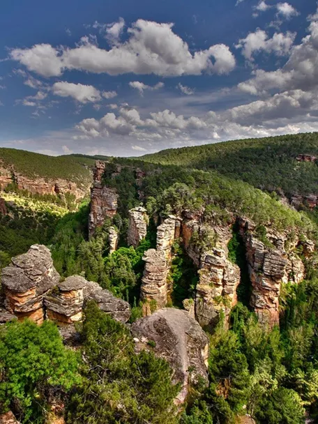 Cañón rocoso con torres naturales y bosque
