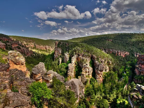 Cañón rocoso con torres naturales y bosque