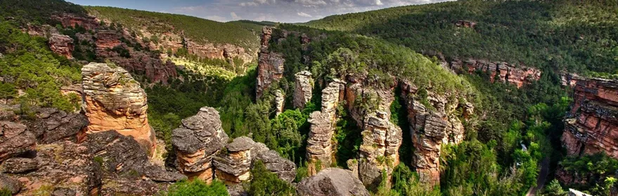 Cañón rocoso con torres naturales y bosque