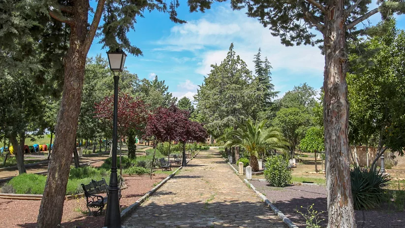Paseo ajardinado con bancos y árboles en un parque urbano