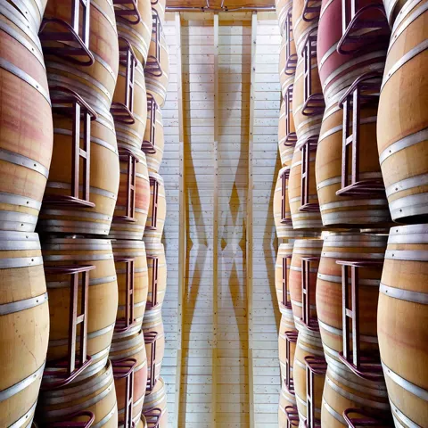 Enogastronomía Castilla-La Mancha