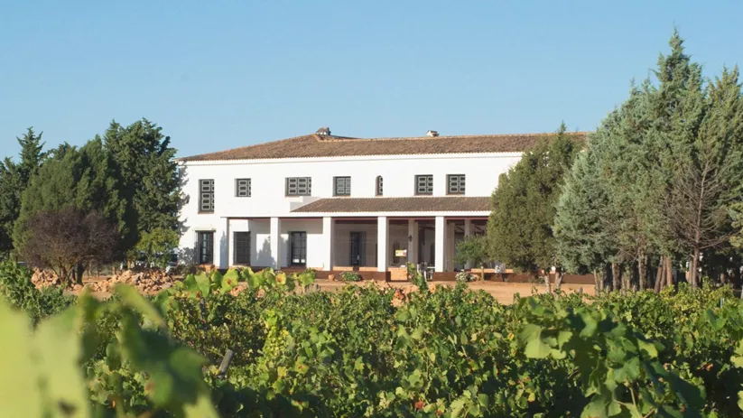 Edificio agrícola entre viñedos y árboles en entorno rural.