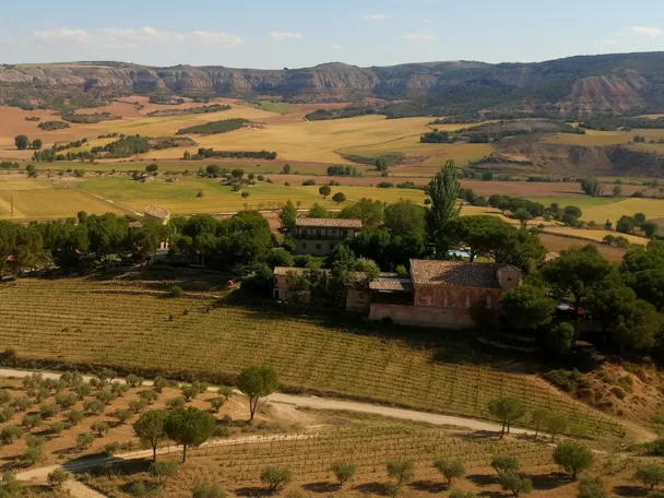 DOP Vino de Pago Calzadilla