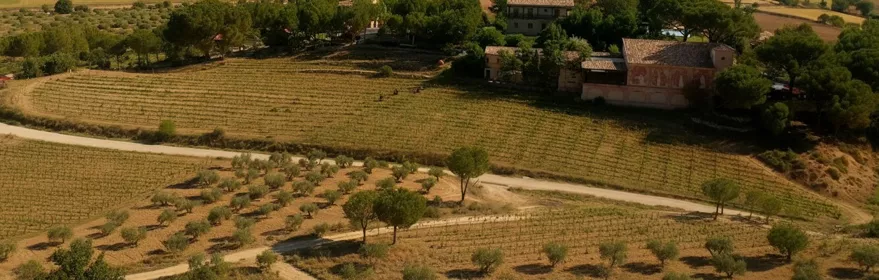 DOP Vino de Pago Calzadilla