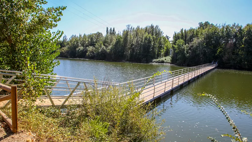Pasarela peatonal sobre un río rodeado de vegetación