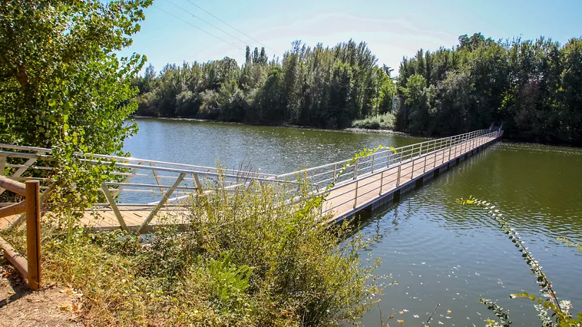 Pasarela peatonal sobre un río rodeado de vegetación