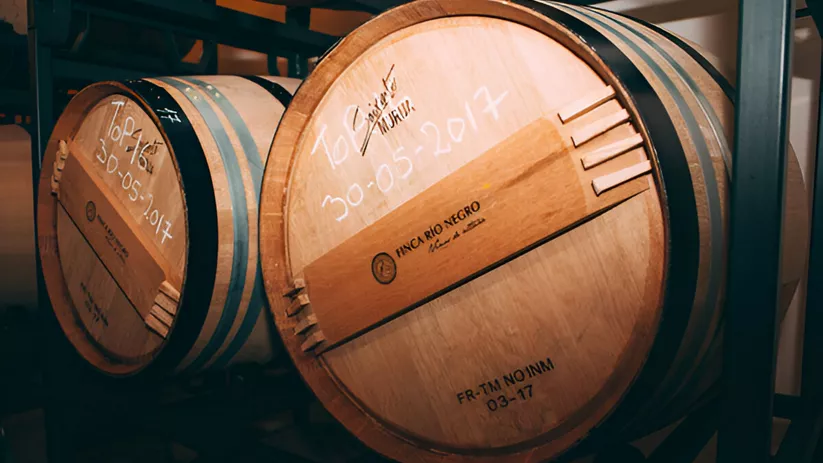 Barricas de madera en sala de crianza.