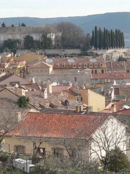 Vista panorámica de tejados rojizos y edificios históricos en un valle.