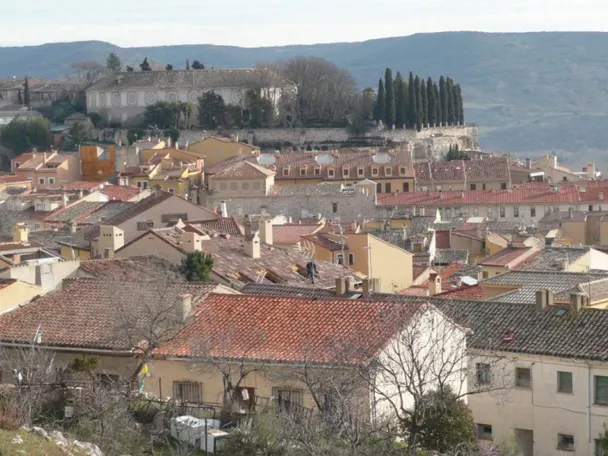 Vista panorámica de tejados rojizos y edificios históricos en un valle.