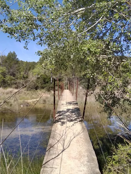 Entorno del camino de la Fonseca en las hoces del Cabriel en Minglanilla, Cuenca