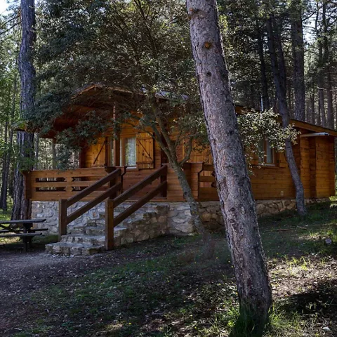 Cabañas en Cuenca Llano de los Conejos – Alojamiento rural en cabañas de madera con encanto en la Serranía de Cuenca, rodeadas de bosques, ríos y naturaleza. Disponen de piscina ecológica, zona infantil con cabaña en los árboles, barbacoas y horno de leña durante todo el año, y zonas exteriores en cada cabaña. Están totalmente equipadas y separadas entre sí, con cocina, aire acondicionado, calefacción y son pet friendly. Perfectas para escapadas rurales de fin de semana, puentes o vacaciones. Actividades: senderismo, rutas en bici, vías ferratas, piragüismo y observación astronómica. Ubicadas cerca de Cañamares, el Nacimiento del Río Cuervo, la Ciudad Encantada y la Hoz de Beteta, a poco más de 2 horas de Madrid o Valencia.