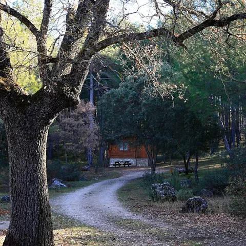 Cabañas en Cuenca Llano de los Conejos – Alojamiento rural en cabañas de madera con encanto en la Serranía de Cuenca, rodeadas de bosques, ríos y naturaleza. Disponen de piscina ecológica, zona infantil con cabaña en los árboles, barbacoas y horno de leña durante todo el año, y zonas exteriores en cada cabaña. Están totalmente equipadas y separadas entre sí, con cocina, aire acondicionado, calefacción y son pet friendly. Perfectas para escapadas rurales de fin de semana, puentes o vacaciones. Actividades: senderismo, rutas en bici, vías ferratas, piragüismo y observación astronómica. Ubicadas cerca de Cañamares, el Nacimiento del Río Cuervo, la Ciudad Encantada y la Hoz de Beteta, a poco más de 2 horas de Madrid o Valencia.
