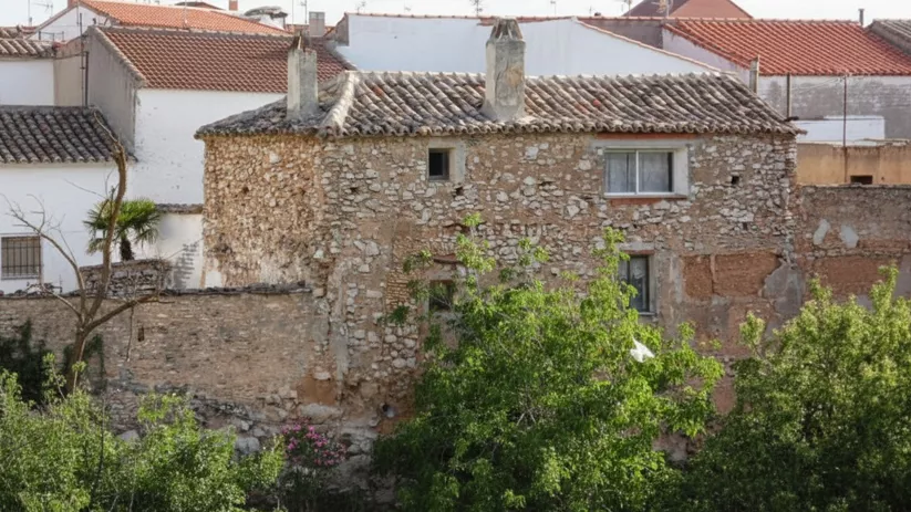 Casa tradicional de piedra con vegetación en primer plano