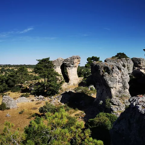 Formaciones rocosas entre pinos y cielo azul