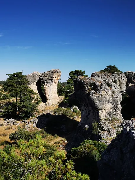 Formaciones rocosas entre pinos y cielo azul