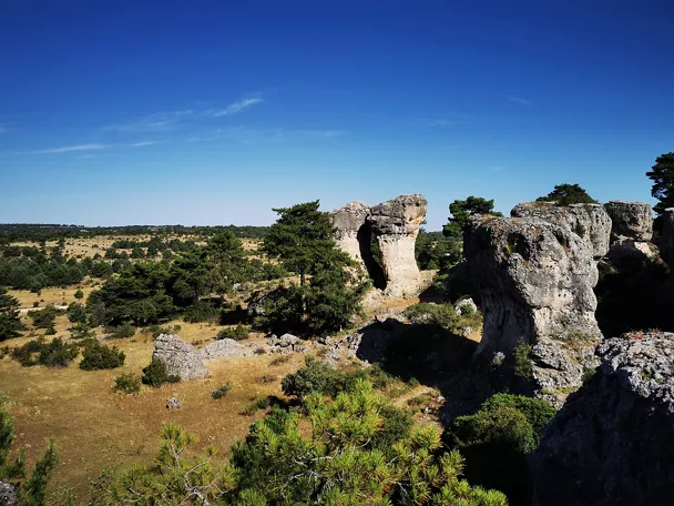 Formaciones rocosas entre pinos y cielo azul