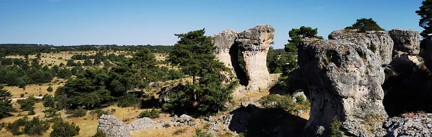 Formaciones rocosas entre pinos y cielo azul