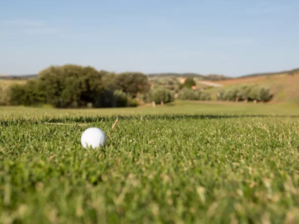Bola de golf sobre césped natural
