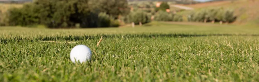 Bola de golf sobre césped natural