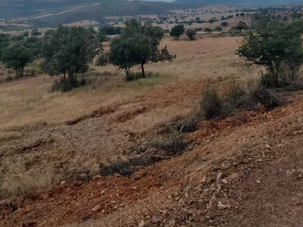 Paisaje natural de dehesa y colinas