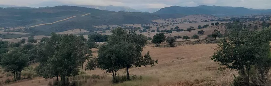 Paisaje natural de dehesa y colinas