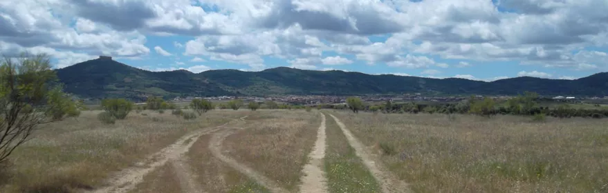 Camino rural en llanura con montes al fondo