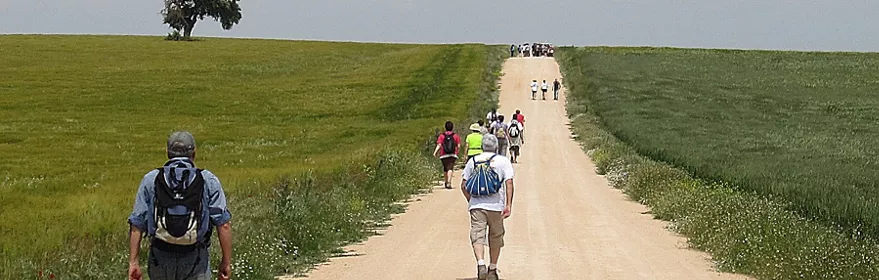 Peregrinos en el camino
