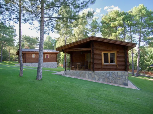 Cabañas de madera entre pinos