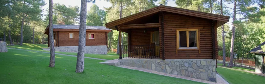 Cabañas de madera entre pinos