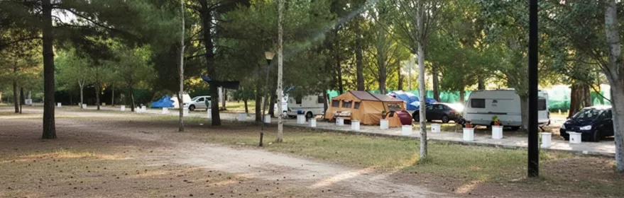 Zona de acampada entre pinares con caravanas